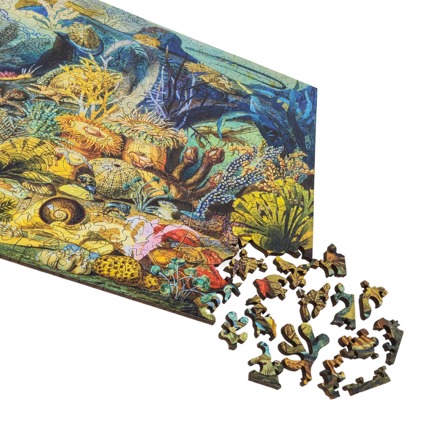 Wooden Jigsaw Puzzle for Adults - Uniquely Shaped Pieces  - 444 Pieces - Ocean Life