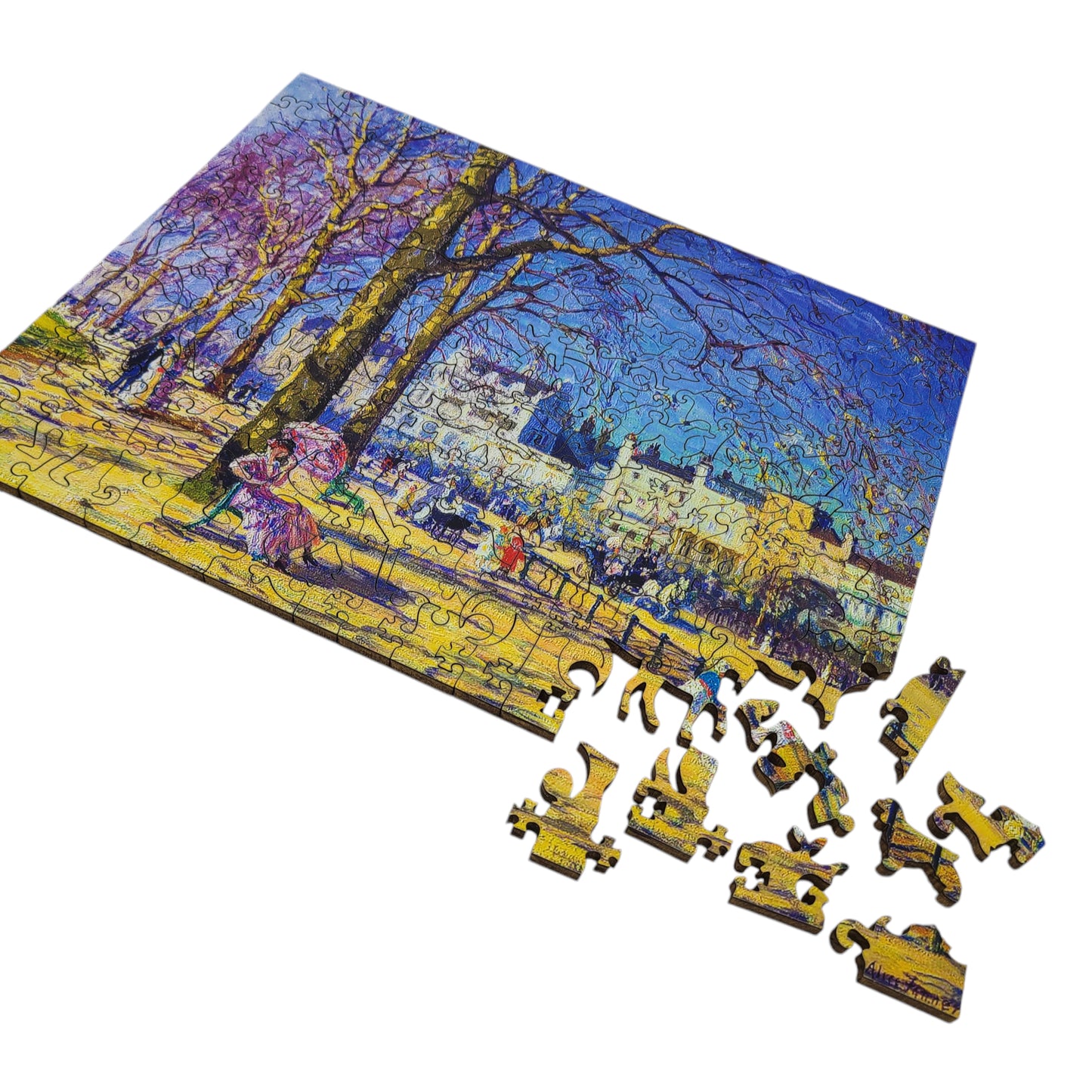 Wooden Jigsaw Puzzle for Adults - Uniquely Shaped Pieces - 172 Pieces - Hyde Park