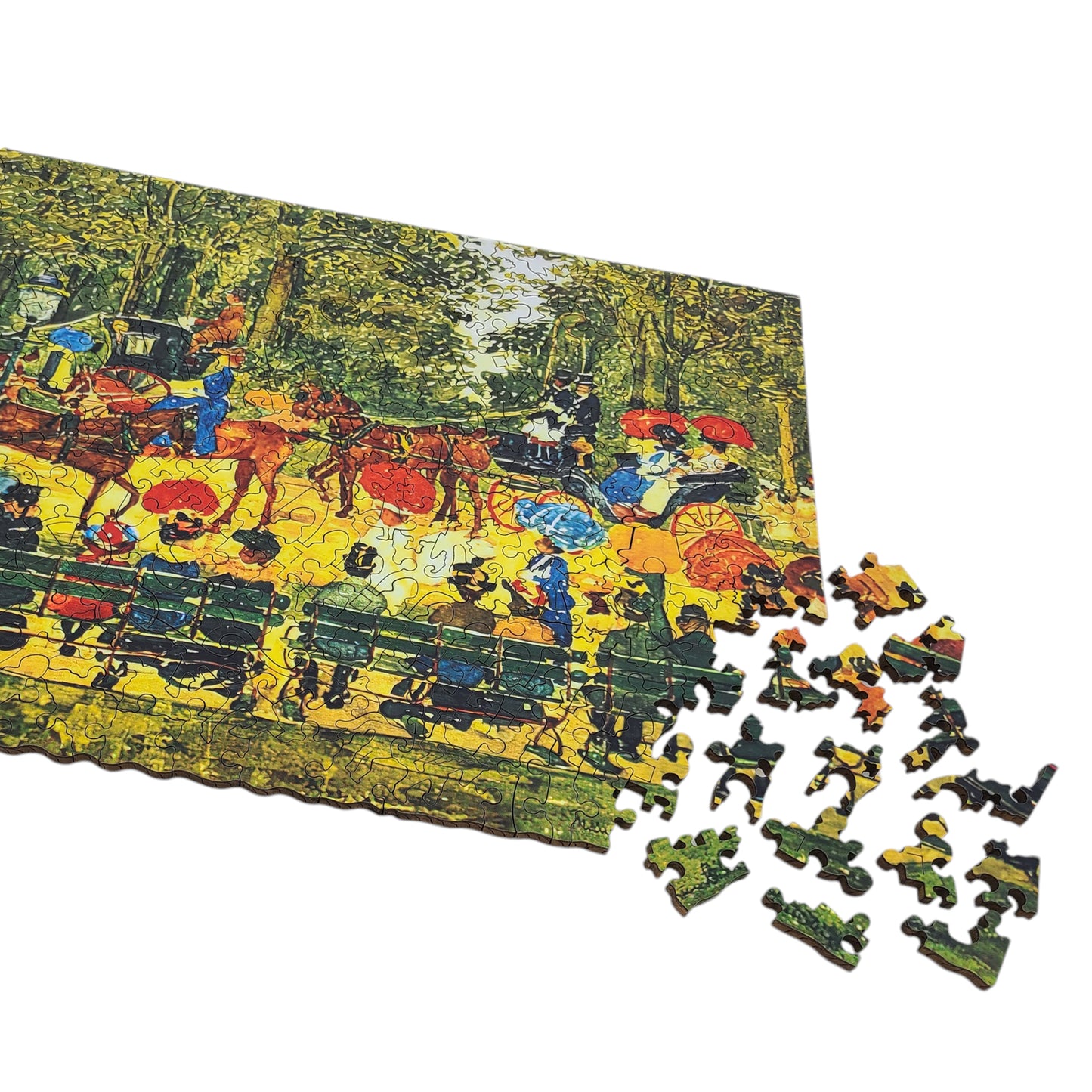 Wooden Jigsaw Puzzle for Adults - Uniquely Shaped Pieces - 340 Pieces - Central Park, New York