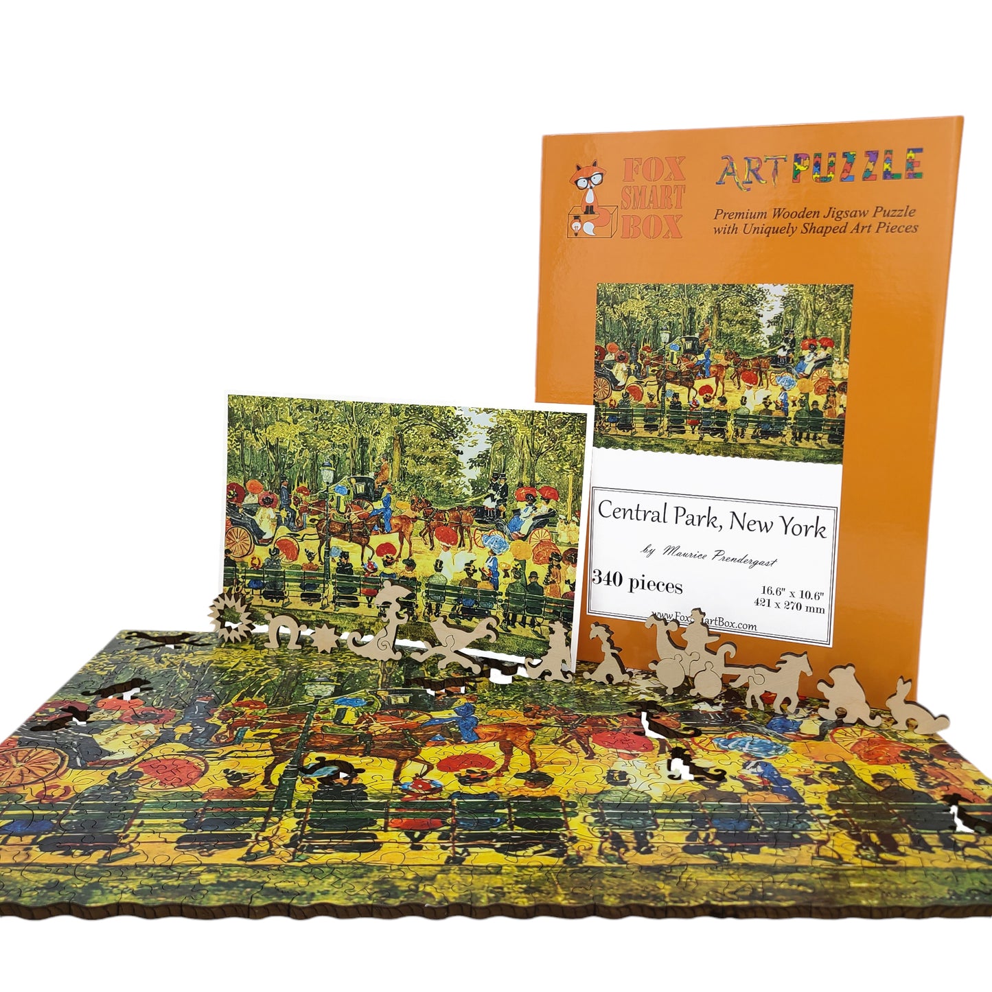 Wooden Jigsaw Puzzle for Adults - Uniquely Shaped Pieces - 340 Pieces - Central Park, New York